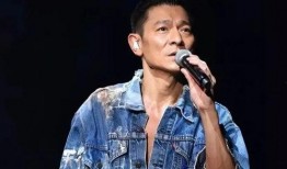 爆料娱乐圈刘德华,娱乐圈的传奇巨星，揭秘他的辉煌人生